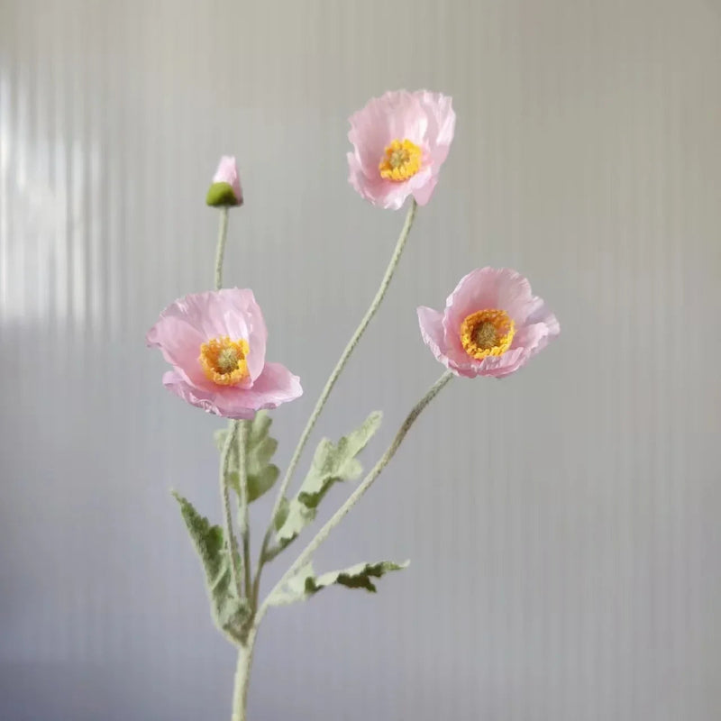 Three light pink poppy flowers with green stems and one poppy bud are arranged in a sparse bouquet against a plain light grey background with subtle vertical lines.