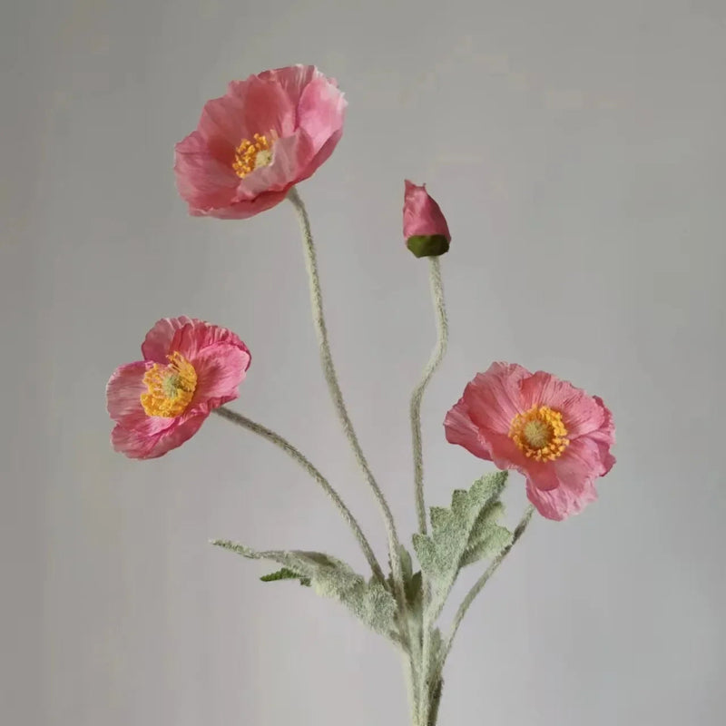 Three pink poppy flowers with green stems and one poppy bud are arranged in a sparse bouquet against a plain light grey background.