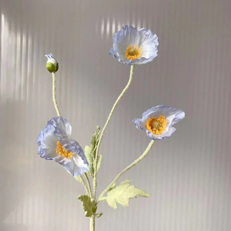 Three light blue poppy flowers with green stems and one poppy bud are arranged in a sparse bouquet against a plain light grey background with subtle vertical lines.