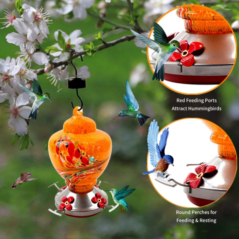 Handblown glass hummingbird feeder shown with close-up detail views