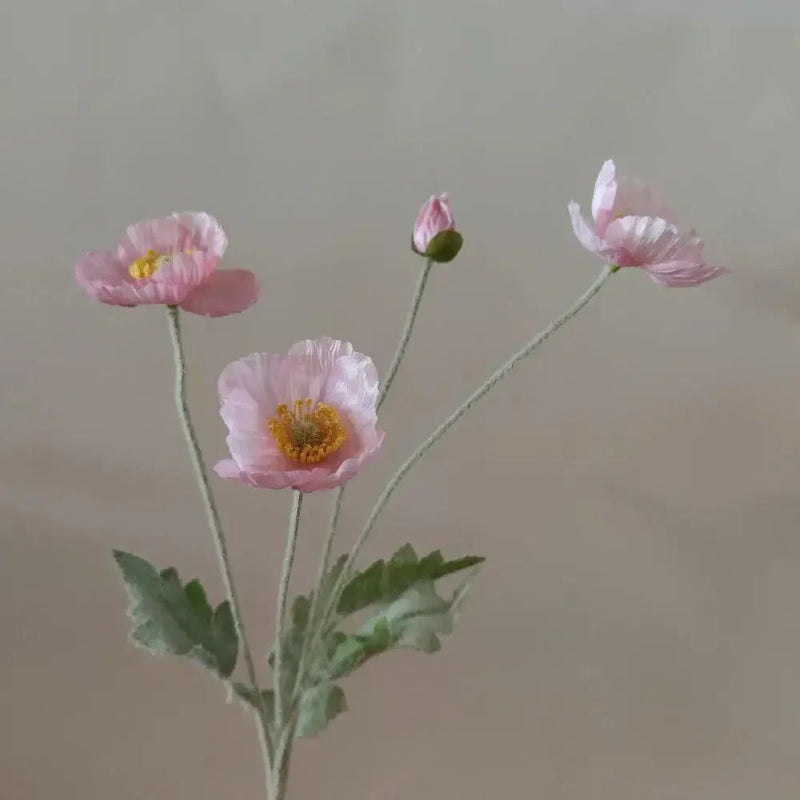 Three light pink poppy flowers with green stems and one poppy bud are arranged in a sparse bouquet against a plain beige background.