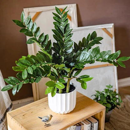 Artificial Ficus Branches in a white pot on a wooden table.