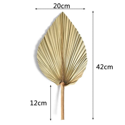 Palm fan leaf 2-piece set displayed with size details, showing the proportional design for wall or tabletop styling.