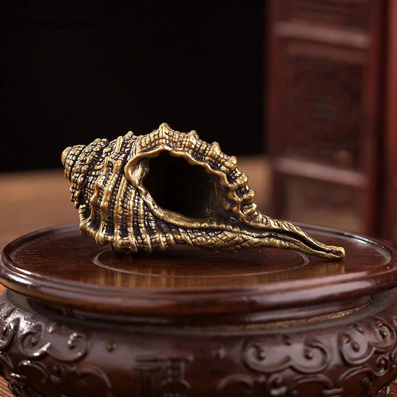 Bronze shell on a wooden surface with a dark background