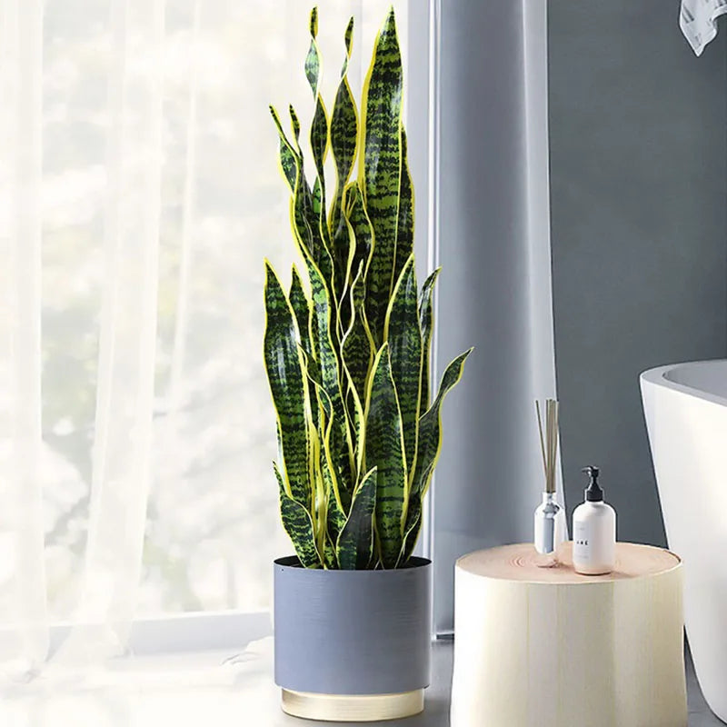 A tall snake plant in a grey planter.