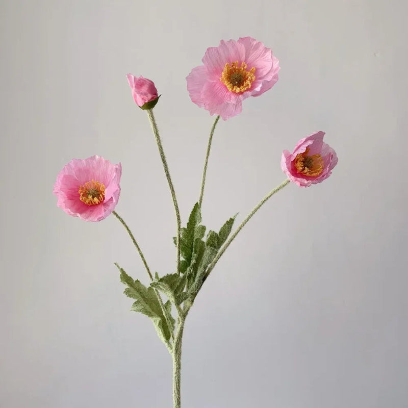 Three light pink poppy flowers with green stems and one poppy bud are arranged in a sparse bouquet against a plain light grey background.