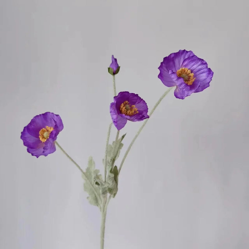 Three deep purple poppy flowers with green stems and one poppy bud are arranged in a sparse bouquet against a plain light grey background.