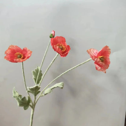 Three reddish-orange poppy flowers with green stems and one poppy bud are arranged in a sparse bouquet against a plain light grey background.