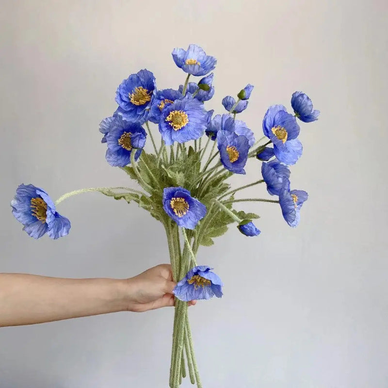A hand holds a bouquet of blue poppies.