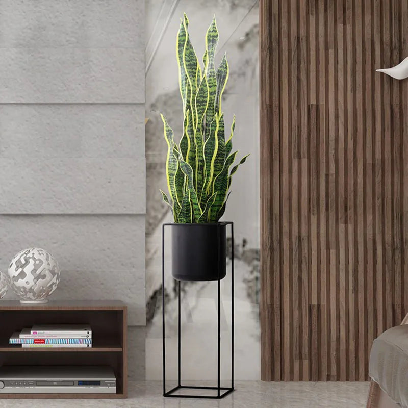 A snake plant in a black stand.