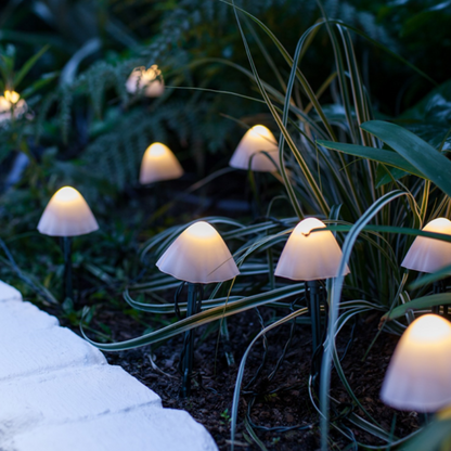 Solar Mushroom Lights