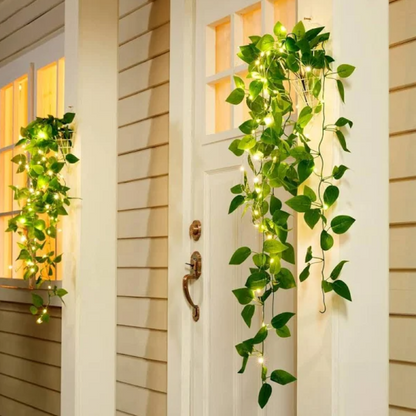 Solar Ivy Lights