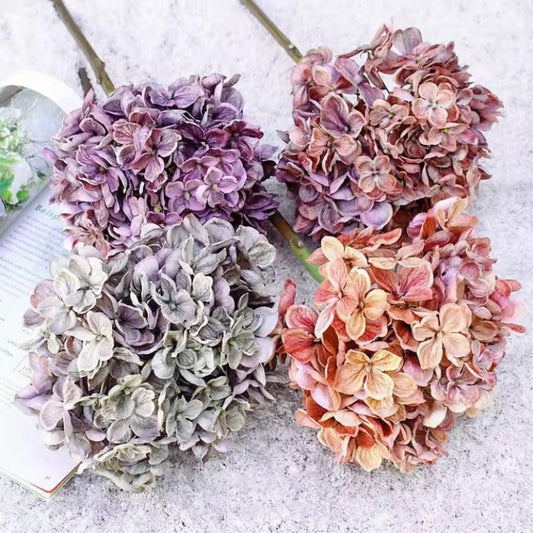 Four dried hydrangea flowers in different colors on a textured surface.