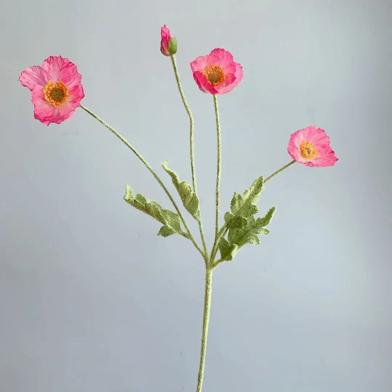 Three hot pink poppy flowers with green stems and one poppy bud are arranged in a sparse bouquet against a plain light grey background.