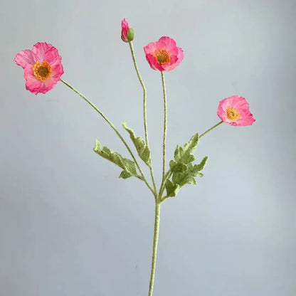 Three hot pink poppy flowers with green stems and one poppy bud are arranged in a sparse bouquet against a plain light grey background.