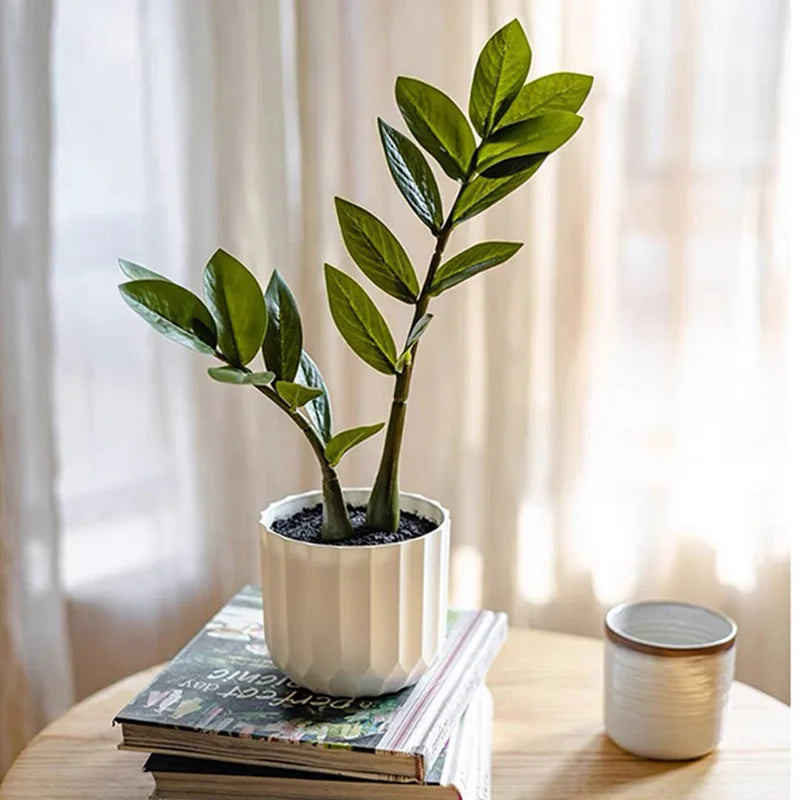Artificial Ficus Branches in a white pot on a stack of books.