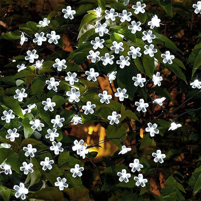 White LED flower string lights woven into green foliage.