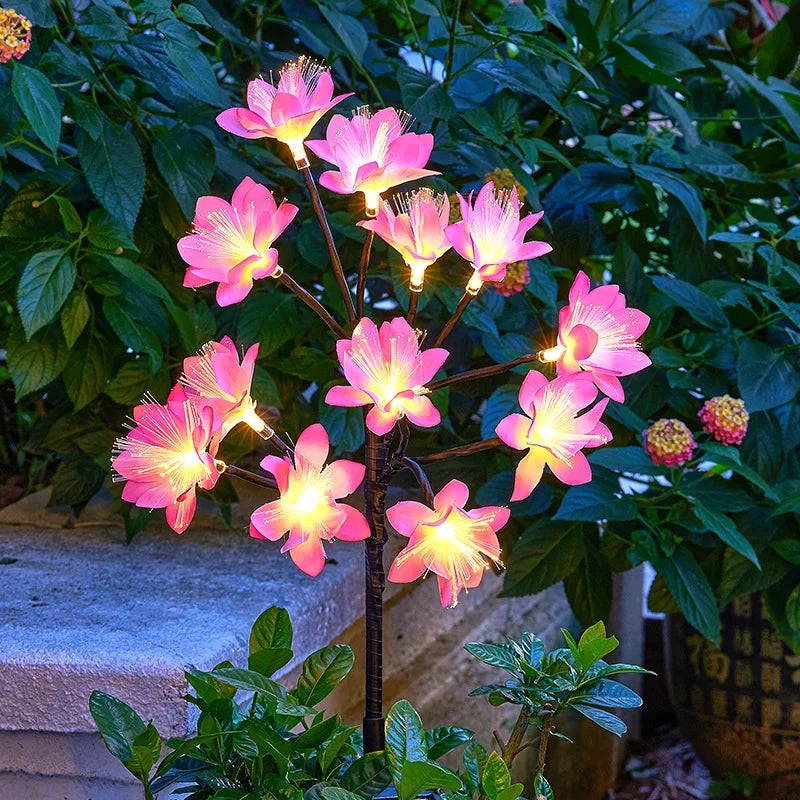 Solar Garden Flowers