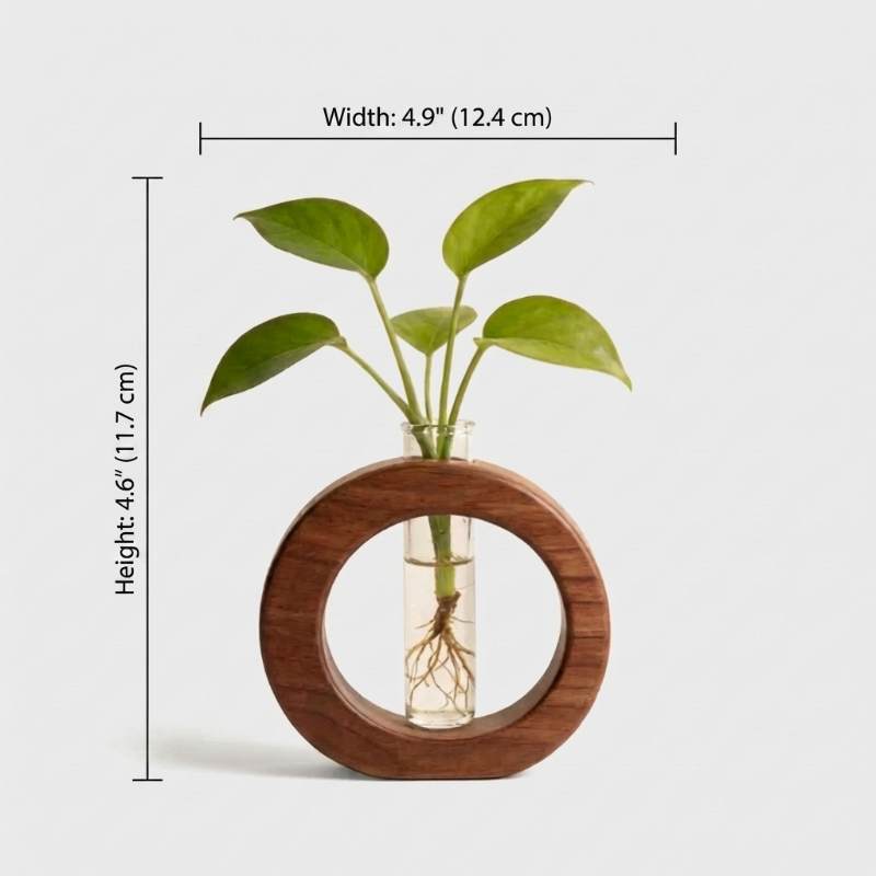 Alba wooden plant propagation vase dimensions graphic on white background