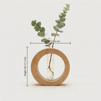 Alba wooden plant propagation vase with eucalyptus stem on white background