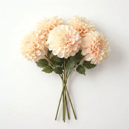Bundle of five champagne dahlia stems tied together on a white background