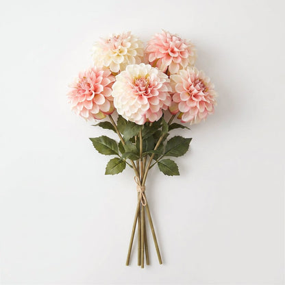 Bundle of five pale pink dahlia stems tied together on a white background