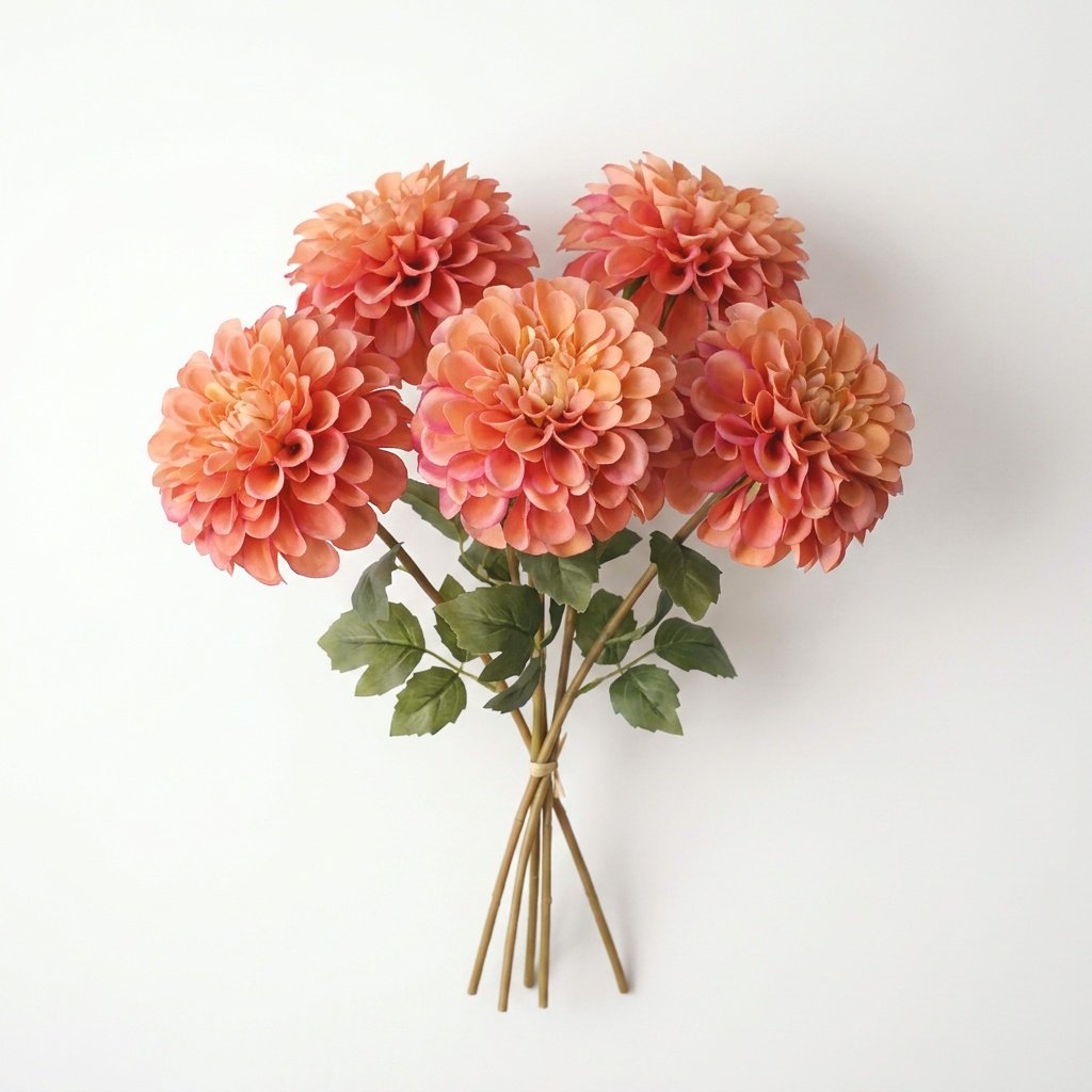 Bundle of five coral-orange dahlia stems on a white background