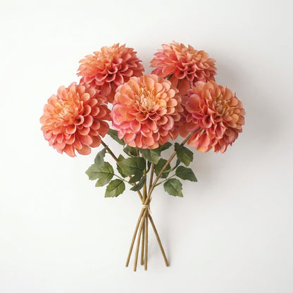 Bundle of five coral-orange dahlia stems on a white background
