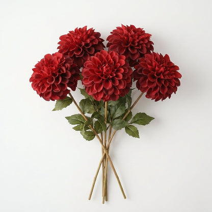 Bundle of five red dahlia stems tied together on a white background