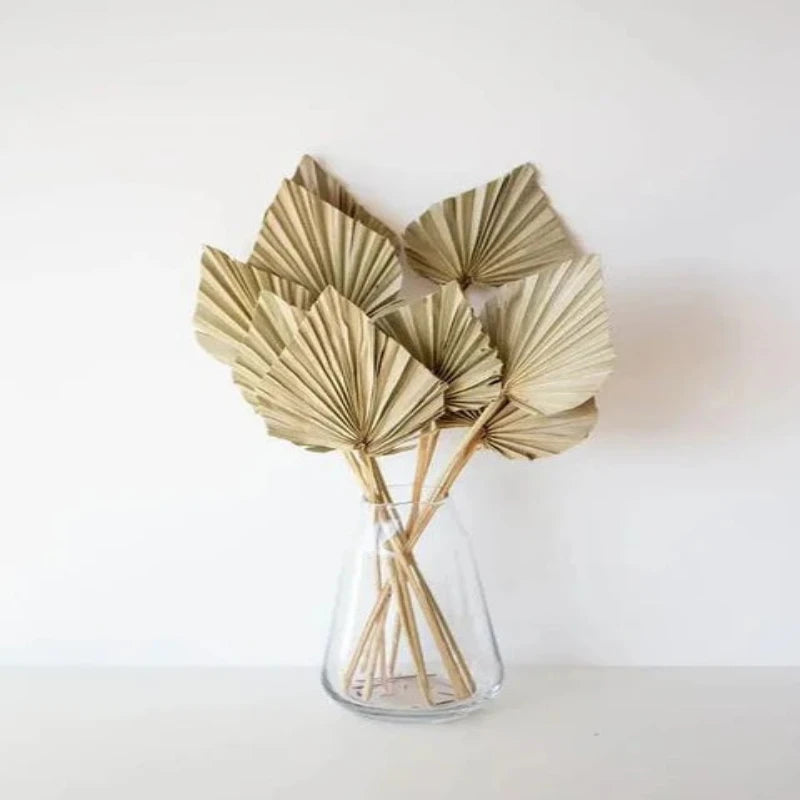 Palm fan leaf set displayed with clear vase, adding a natural, tropical touch to your home decor.