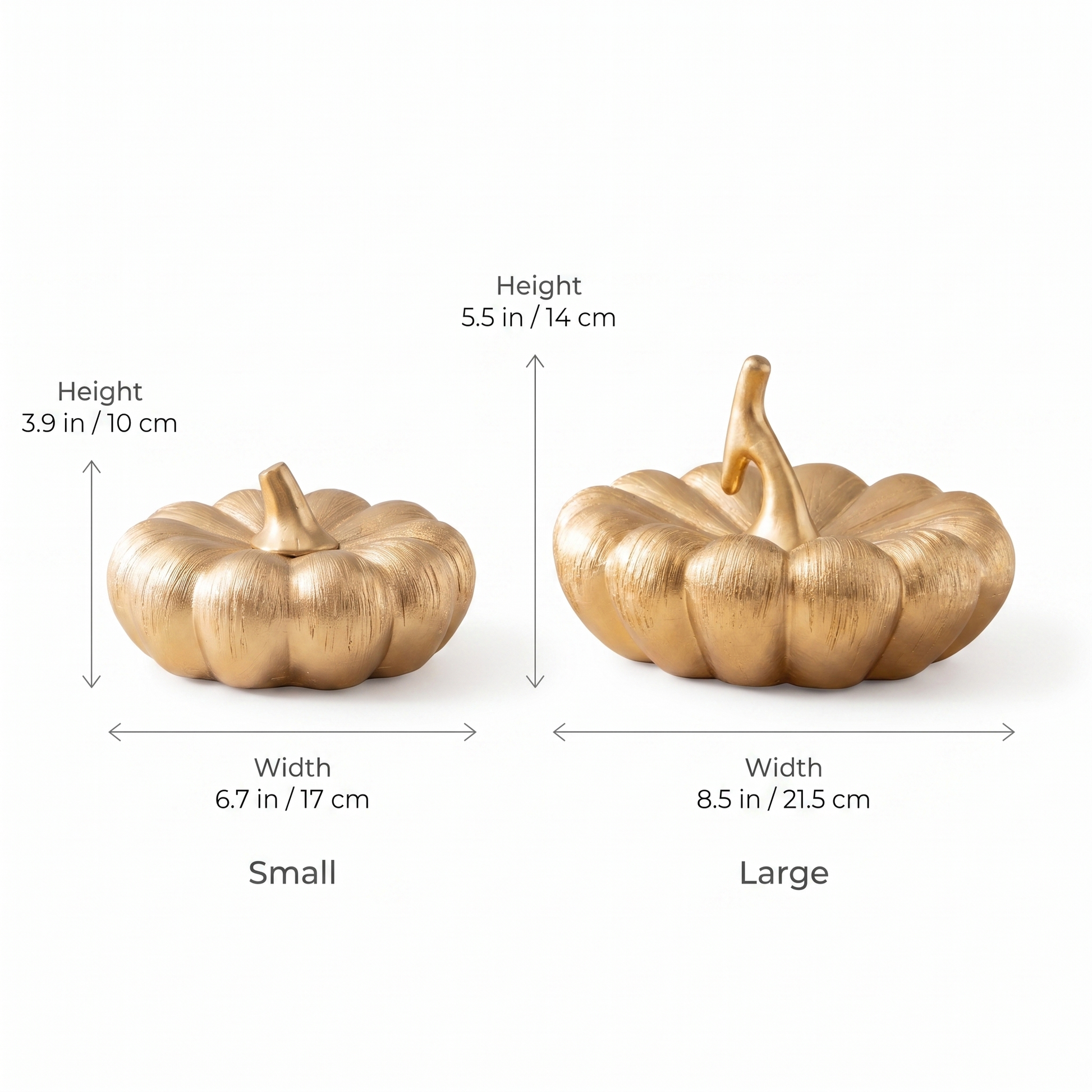 Black and Gold Pumpkins dimensions diagram showing small size 3.9 in / 10 cm tall by 6.7 in / 17 cm wide and large size 5.5 in / 14 cm tall by 8.5 in / 21.5 cm wide