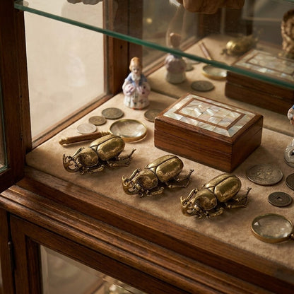 Brass beetle ornaments displayed in a glass curio case, Kiyo Home