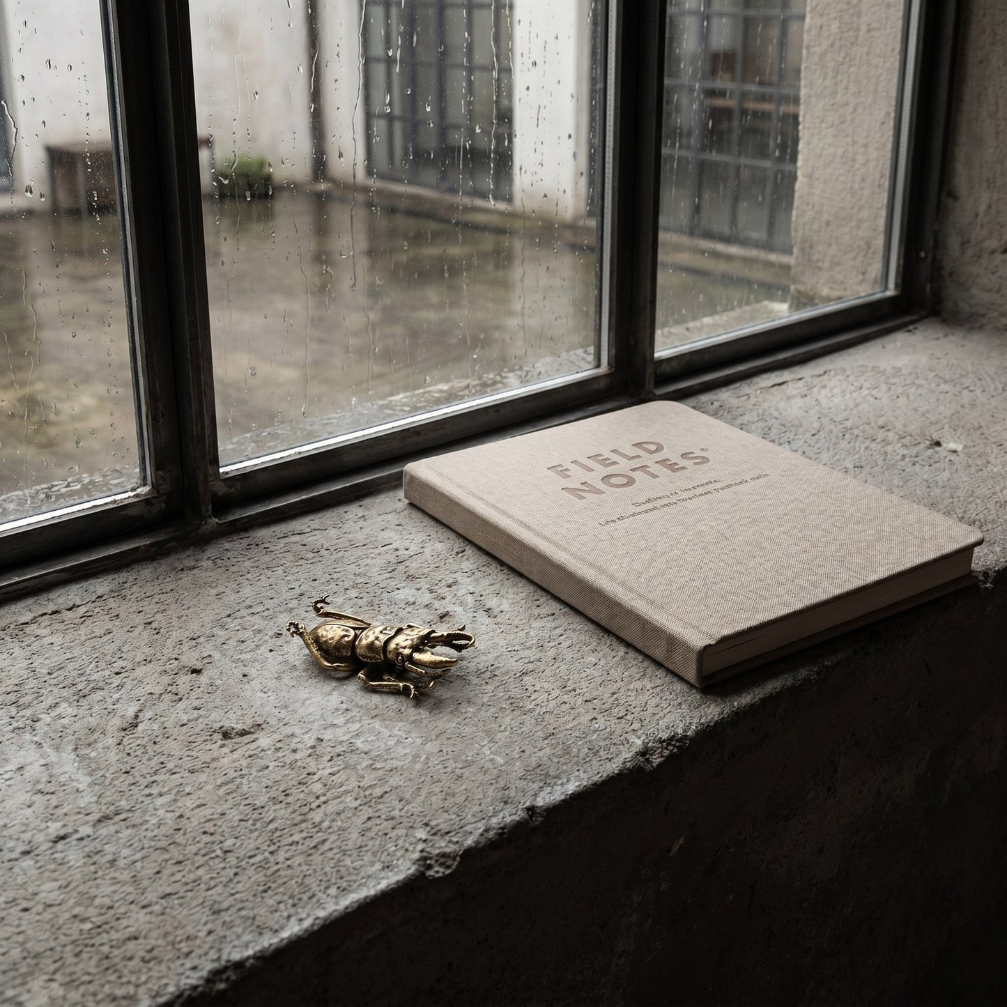 Brass beetle ornament on a windowsill with a book, Kiyo Home