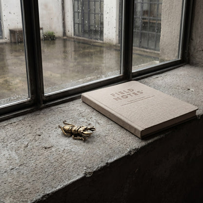 Brass beetle ornament on a windowsill with a book, Kiyo Home