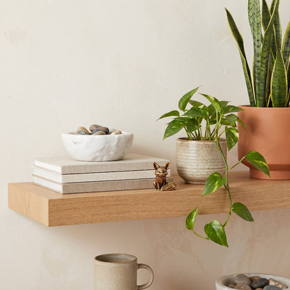 Brass fox figurine displayed on a shelf with books and a potted plant