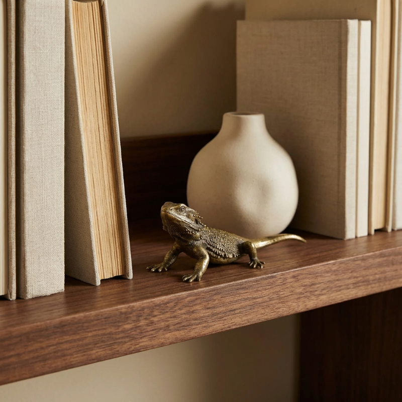 Brass lizard figurine on wooden shelf with books and vase