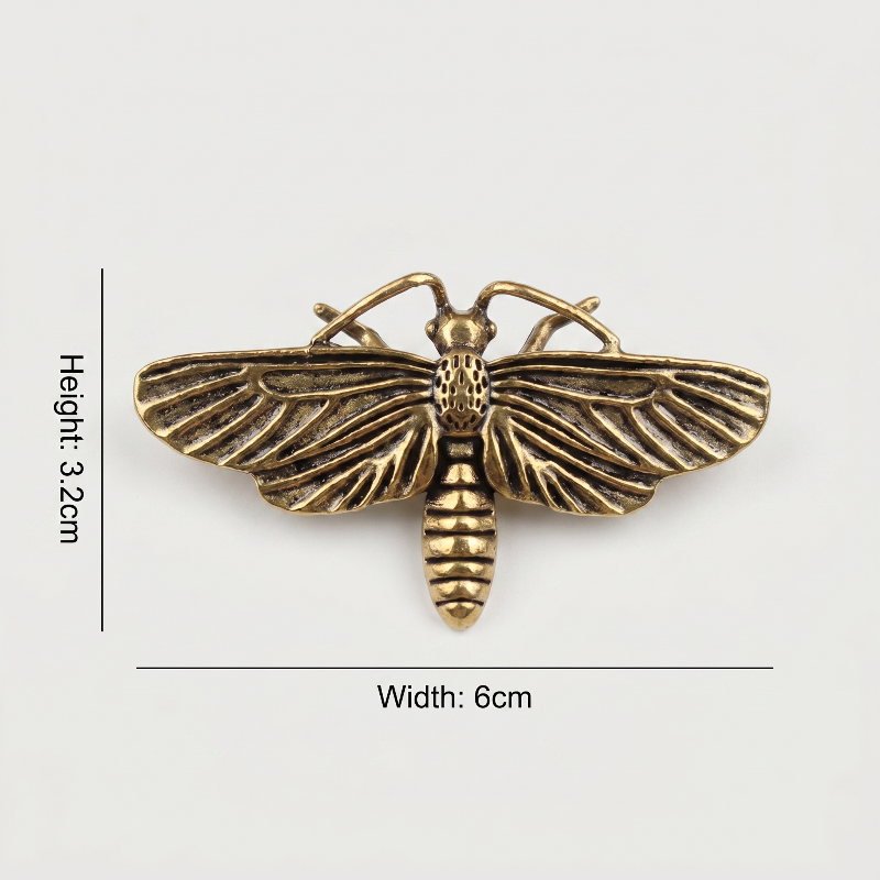 Brass moth sculpture dimensions graphic on white background