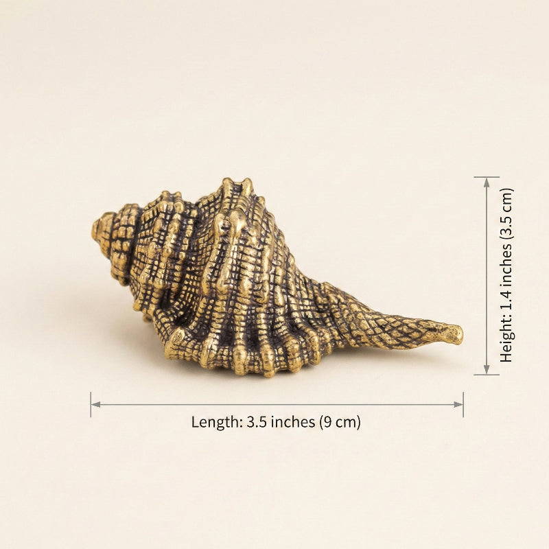 Brass seashell figurine dimensions graphic on white background