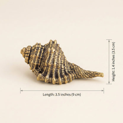 Brass seashell figurine dimensions graphic on white background