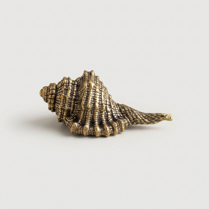 Brass seashell figurine on white background