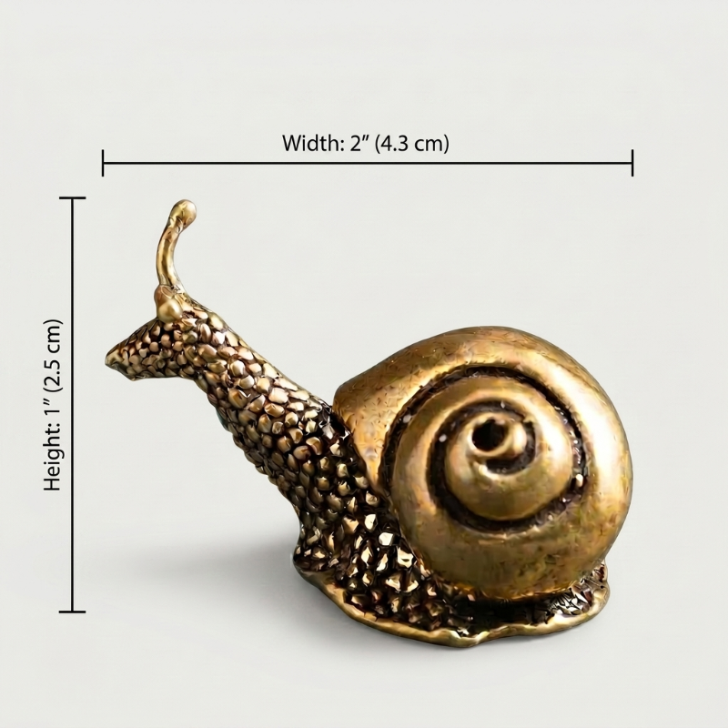 Brass snail figurine dimensions graphic on white background