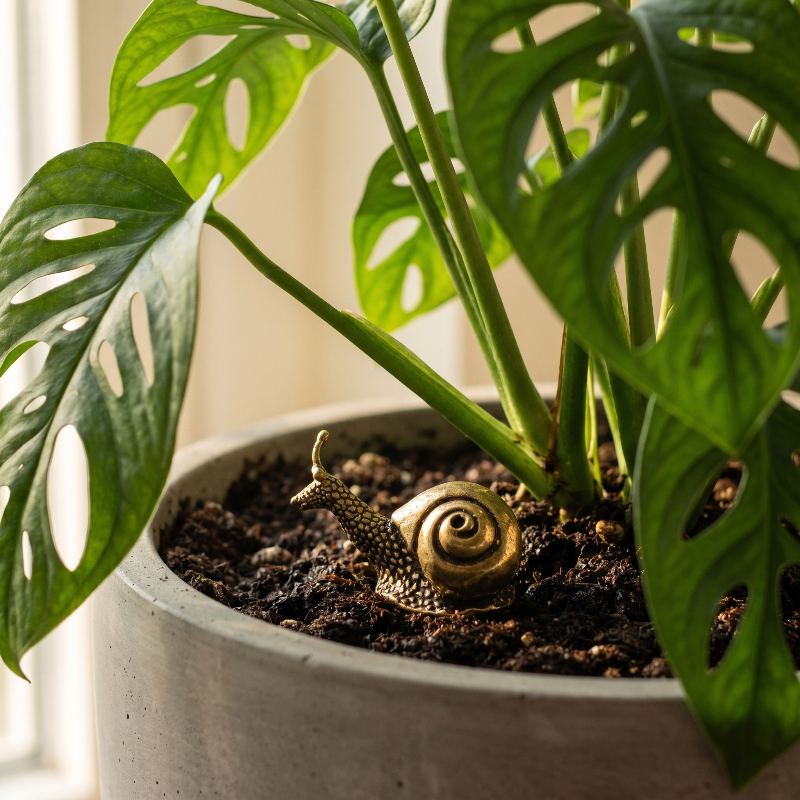Brass snail figurine in plant pot with leafy greenery