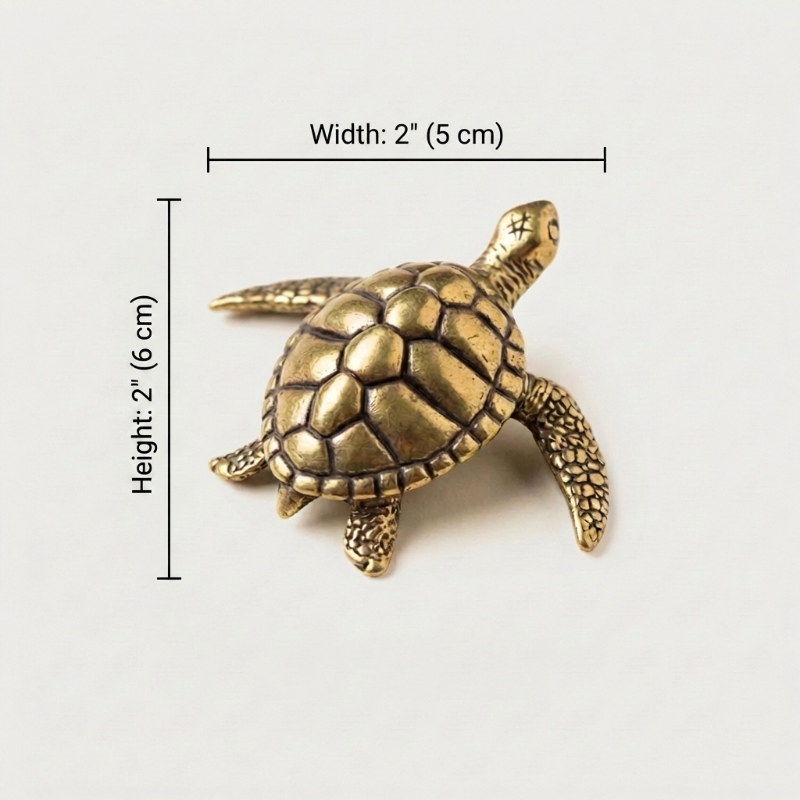 Brass turtle figurine dimensions graphic on white background