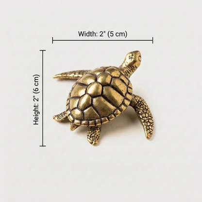 Brass turtle figurine dimensions graphic on white background