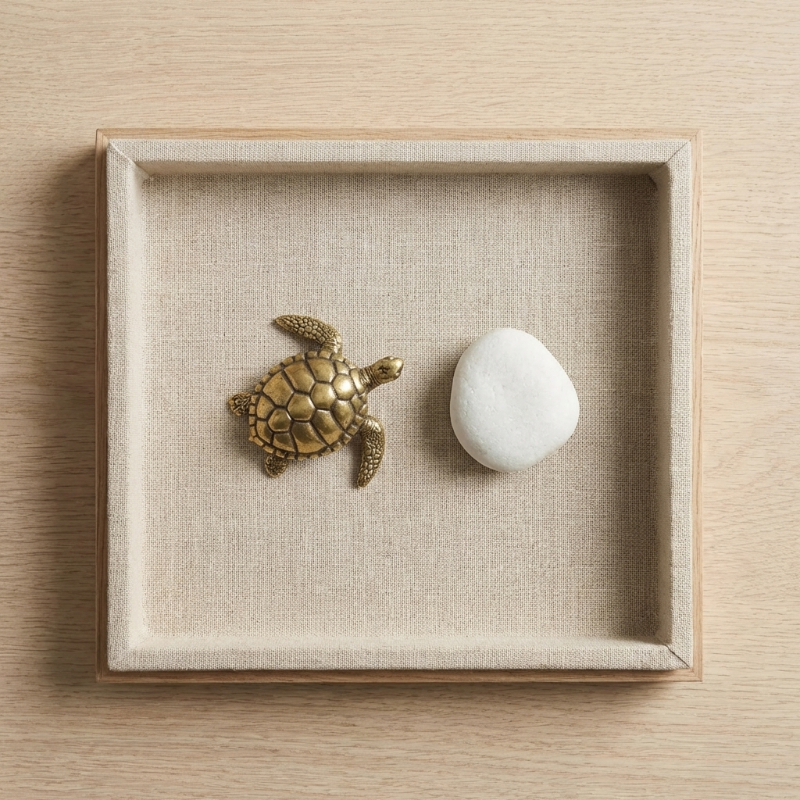 Brass turtle figurine displayed on tray beside white stone
