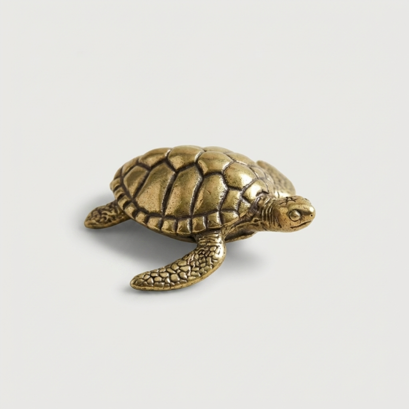 Brass turtle figurine on white background from top view