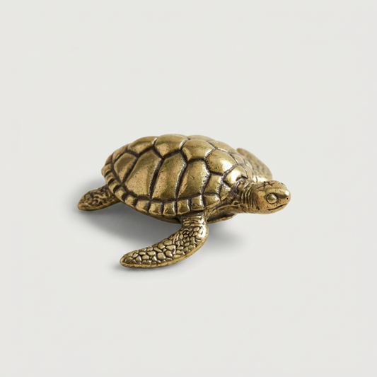 Brass turtle figurine on white background from top view