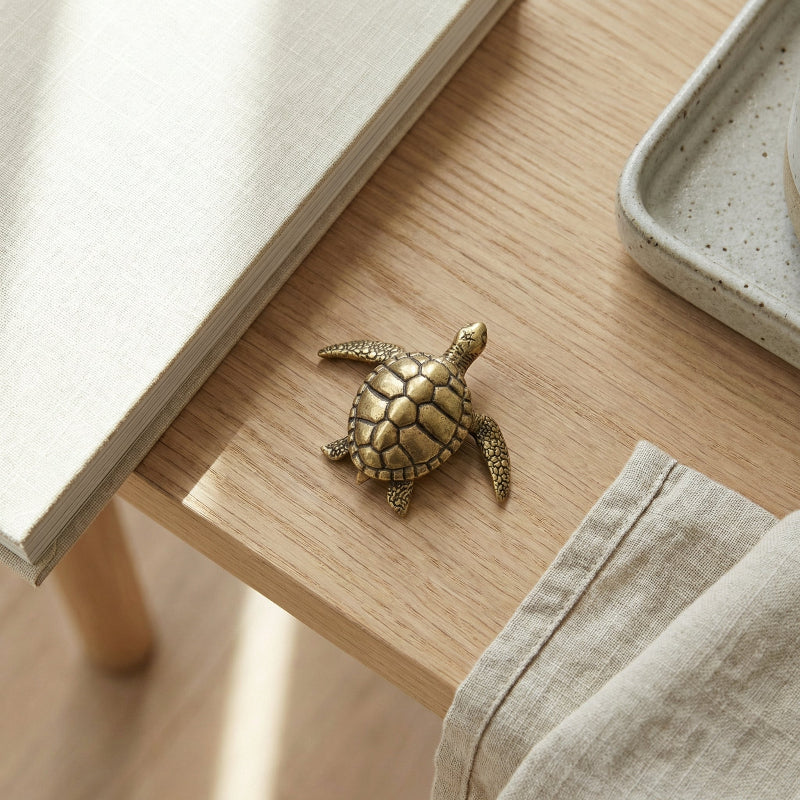 Bronze turtle figurine on a wooden surface with a book and fabric in the background