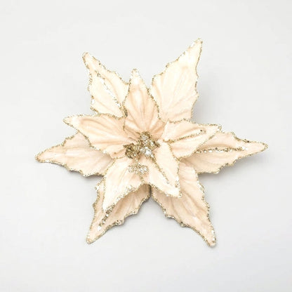 Champagne velvet poinsettia flower with gold glitter edges on a white background
