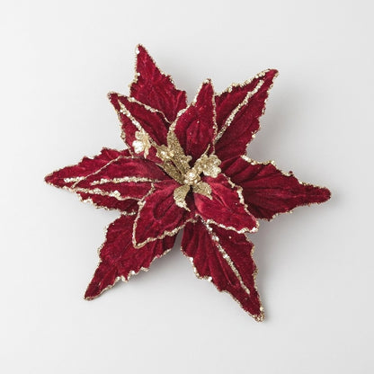 Red velvet poinsettia flower with gold glitter edges on a white background